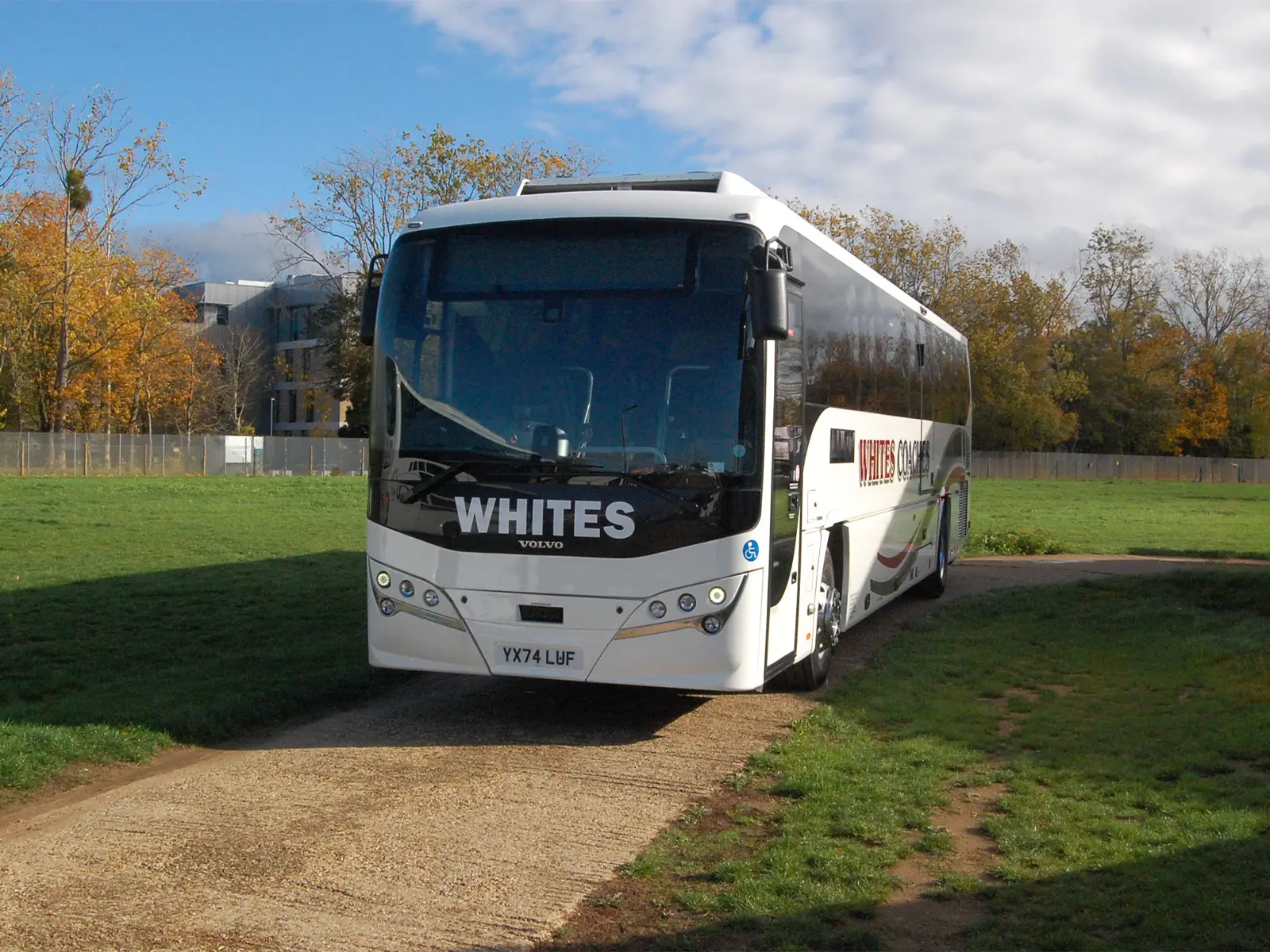 whites-coaches-yx74